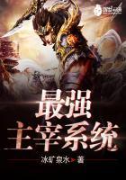 最强主宰系统笔趣阁