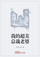 我的总裁美女老婆笔趣阁