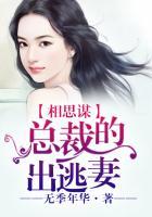 总裁才解相思意战延伸