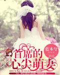 首席的心尖宠妻全集免费阅读