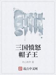 三国之冒牌天子