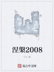 涅槃2008改编版