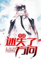 迷失了方向作文