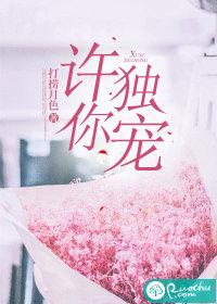 许你独宠by晓鱼干免费阅读
