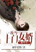 我当上门女婿那些年短剧合集