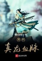 有关真龙血脉的