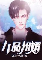 九品相婿结局是什么意思