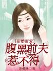 腹黑前夫追妻难免费阅读