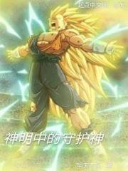 守护神明的斗士