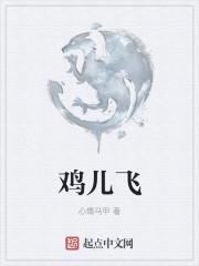 鸡儿飞全文免费阅读