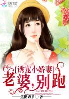 诱宠小老婆全文免费读