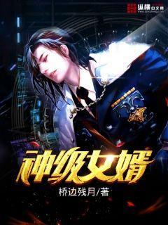 神级女婿混大宋