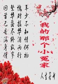 我的小冤家作文