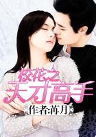 校花之高手无敌叶天