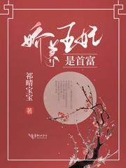 娇养王妃是首富秦湛