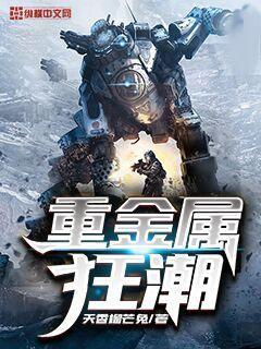 全金属狂潮完结了吗