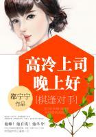 棋逢对手高冷上司晚上好免费阅读