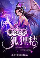 我的狐狸精老婆天经