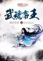 武魂帝王 夜月冷语