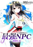 口袋妖怪最强npc