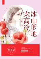 一胎二宝冰山爹地太高冷全部