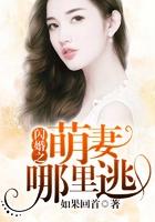 闪婚之萌妻哪里逃免费阅读