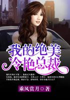 我的绝美冷艳总裁乘风赏月