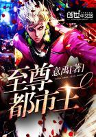 至尊都市王免费阅读