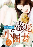 总裁盛宠小娇妻电视剧