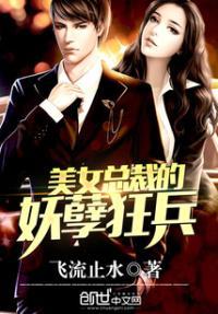 美女总裁的妖孽高手免费阅读全文