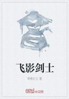 飞影光剑排行榜