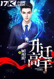 升迁之高手王全亮 免费
