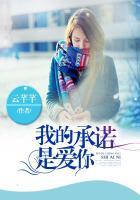 我的承诺是什么歌曲