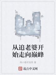 从追老婆开始走向巅峰起点中文网