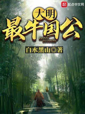 大明最牛国公章节目录