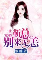 靳爷宠妻一宠就是一辈子