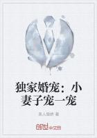 独家婚宠老婆哪里跑