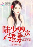 陆少的独家专宠