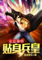 女总裁的贴身兵王贴身兵王