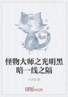 怪物大师光明神之剑