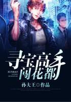 寻宝高手闯花都txt资源