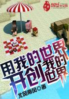 我的世界万能方块