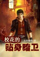 校花的贴身暗卫张浪