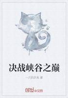 英雄联盟决战峡谷之巅