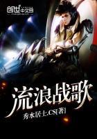 流浪战士