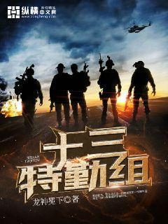 十三军特战旅