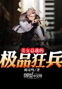 美女总裁的极品狂兵叶昊免费阅读