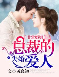 总裁的新婚失宠妻