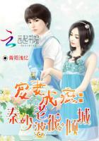 秦少宠妻无上限免费阅读