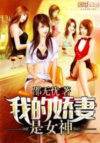 我的娇妻是女神丁洁吴铁军续兮夜